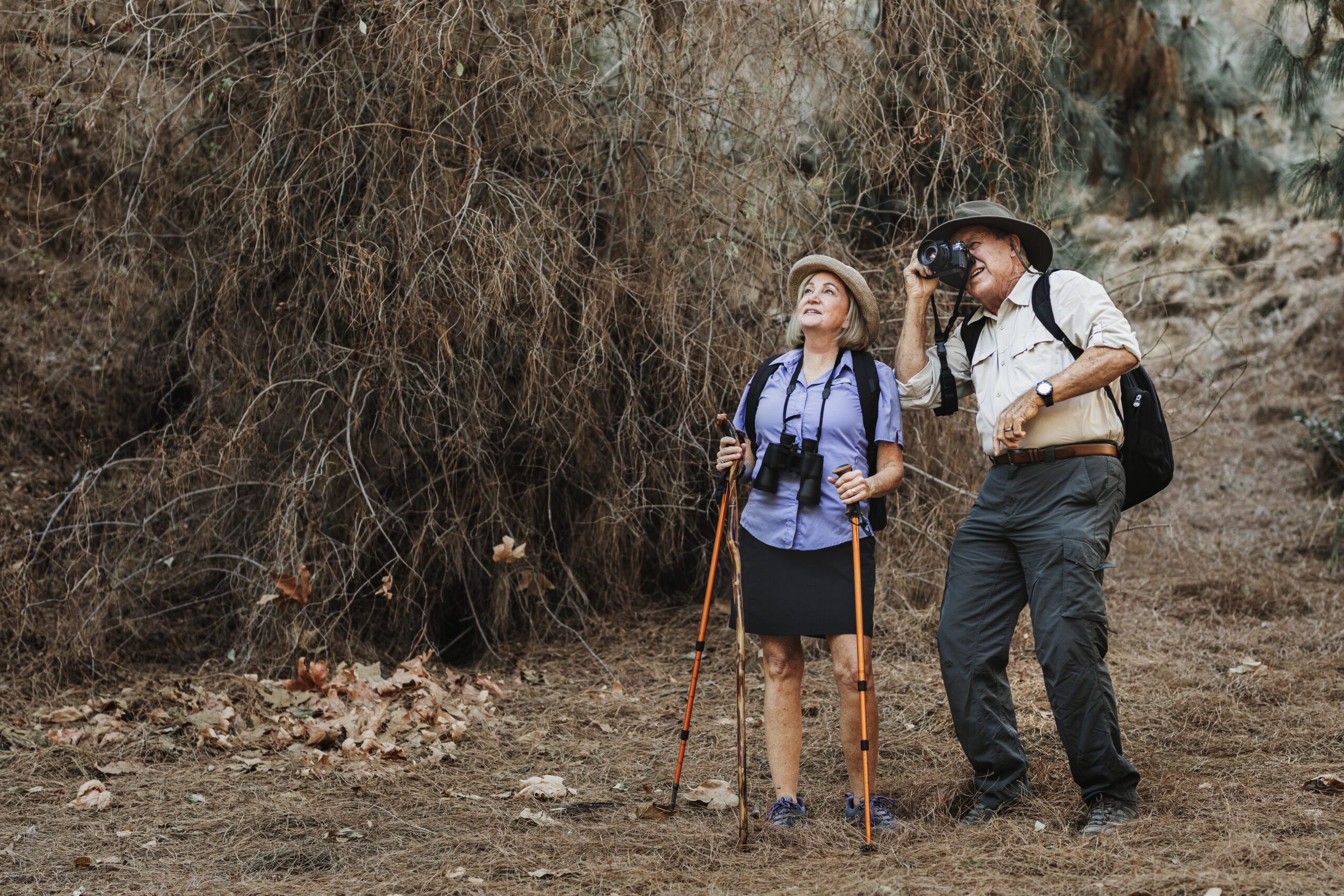 Hiking Trails in Tweedsmuir cumbrianinn.ca