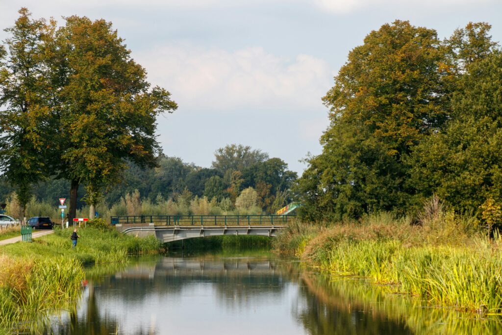 Summer Tweedsmuir Provincial Park
